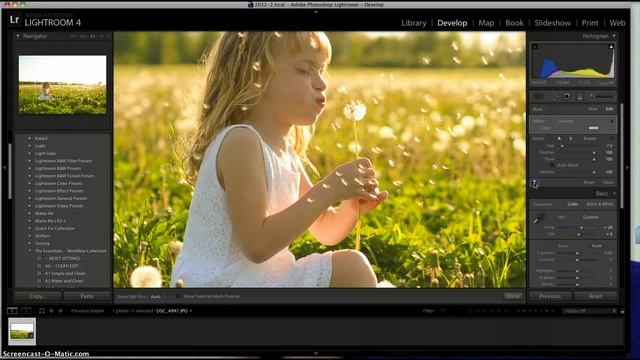 Getting Rid of a Color Cast in Lightroom 4 смотреть онлайн
