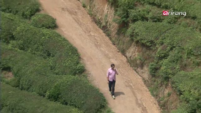 Tasty Trail with Benjamin S2Ep02 Green-tea based dishes(Boseong, South Jeolla) 전남 보성의 녹차 음식 смотреть онлайн