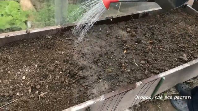 390. Сажаю огурцы по супер технологии смотреть онлайн