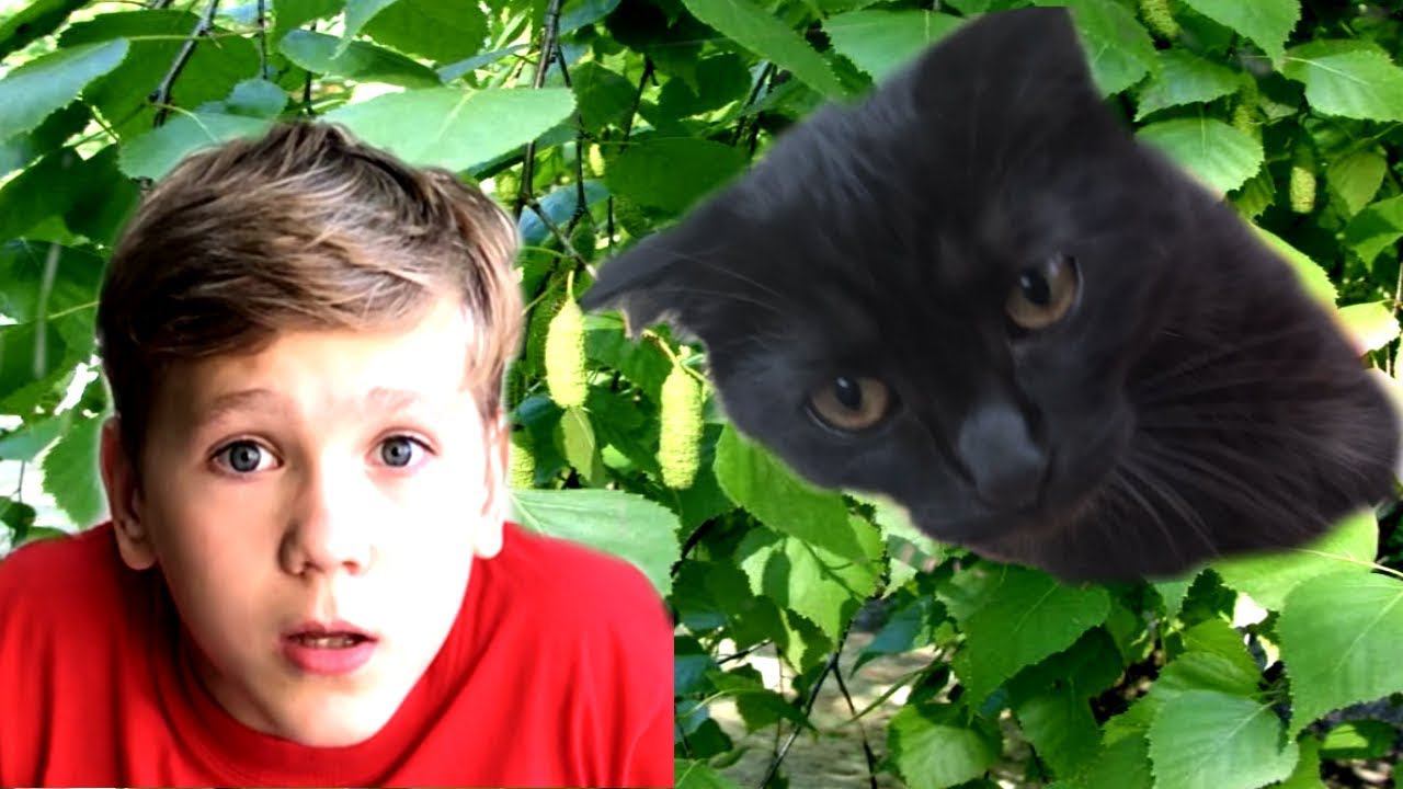 КОТЁНОК, тебе было ОЧЕНЬ БОЛЬНО? смотреть онлайн