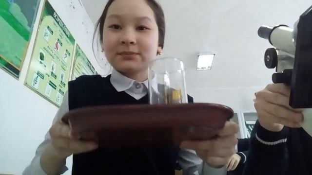 В ШКОЛЕ!!! Про микроскопы смотреть онлайн