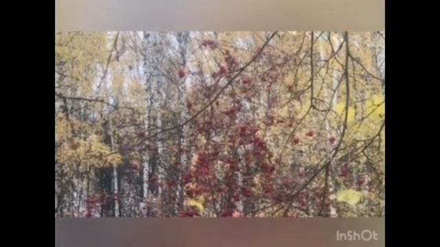 Елена Кудакова «Мазками Босха» смотреть онлайн