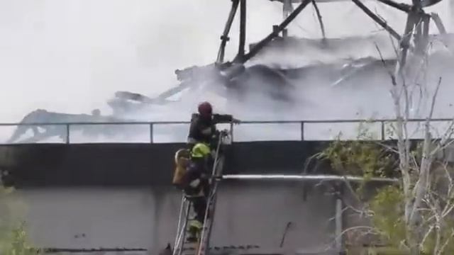 В Кишиневе горит Институт микробиологии и биотехнологии