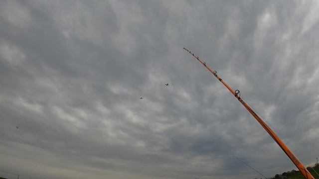 Spinpoler 20cm 84g big game 3D смотреть онлайн