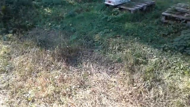 По мелочам смотреть онлайн