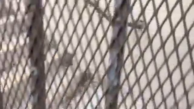 Квартира в подвале за $1.995 смотреть онлайн