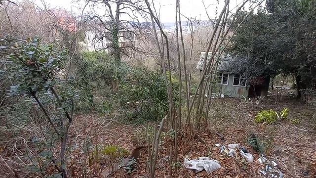 Сочи лысая гора. Участок 7 соток смотреть онлайн