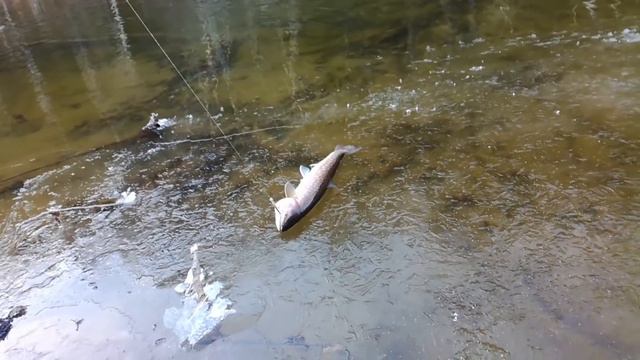 Мороз, лёд, снег и рыба смотреть онлайн