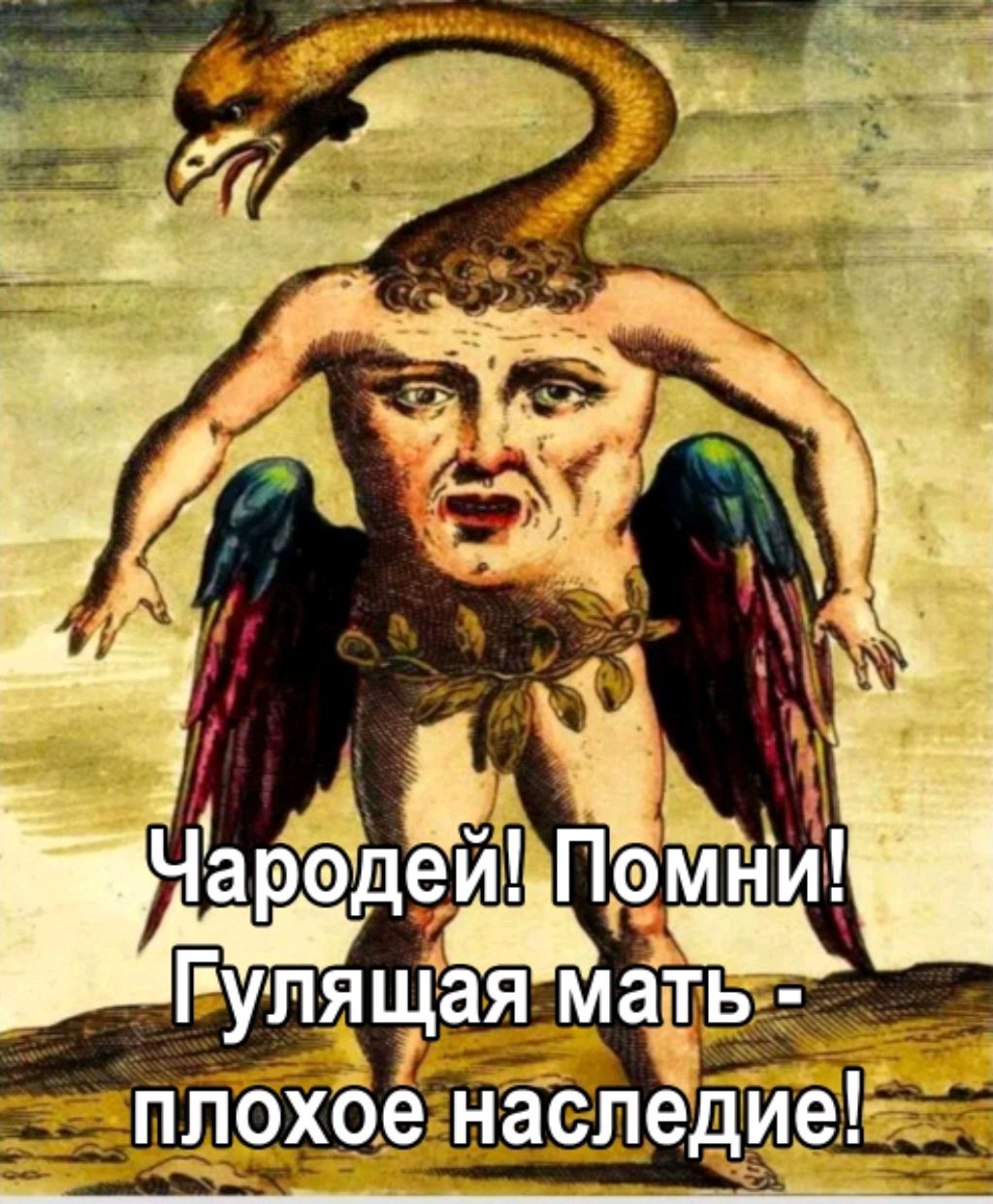 Text