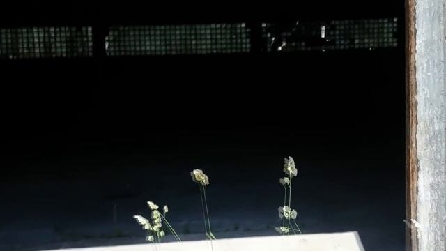 Рейк в заброшенном городе/Часть 1 смотреть онлайн