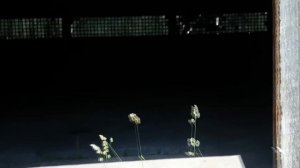 Рейк в заброшенном городе/Часть 1