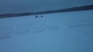 мотособака помор 05.03.2013
