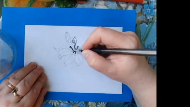 Как нарисовать лилию, легко и просто смотреть онлайн