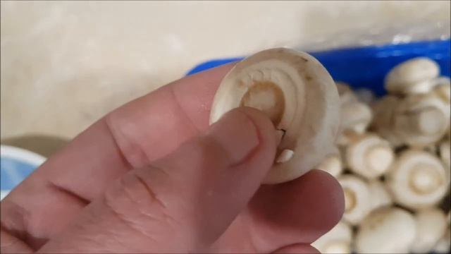 мясо с грибами в бальзамическом уксусе