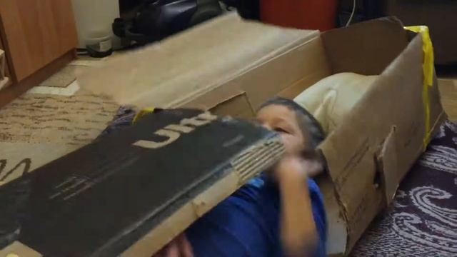 Упаковка от коляски – отличный домик... Гатчина, дома. 09.07.2017, 20:22 смотреть онлайн