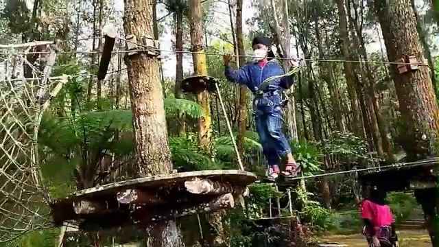 Tree top kopeng || best view in west java смотреть онлайн