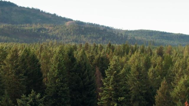 Монашество. Письма о духовной жизни. Игумен Никон Воробьев смотреть онлайн