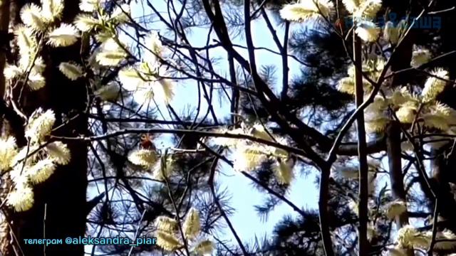 Разбил ты сердце мне смотреть онлайн