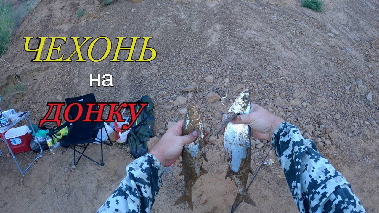 Бешенный клев ЧЕХОНИ, берет на падении приманки смотреть онлайн