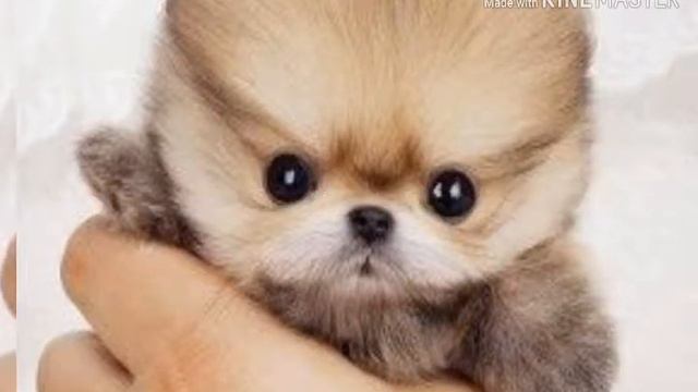 Я обиделась смотреть онлайн