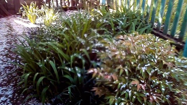 Краснодарский край Станица Успенская 06-07 мая 2021 года смотреть онлайн