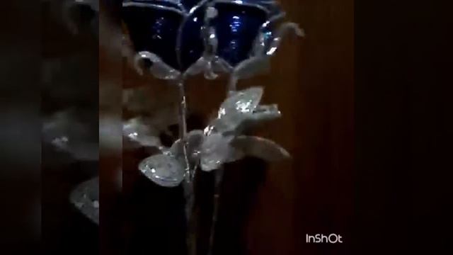 Розы закрытые смотреть онлайн