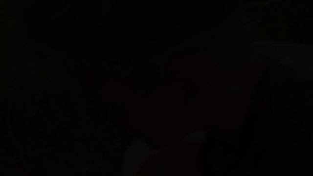 ВЫЗОВ ЛЕСНОГО ДУХА/Паранормальный Отдел 4 смотреть онлайн