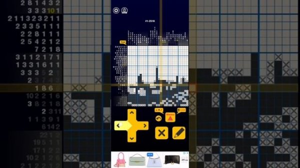 Nonogram (Picross) Galaxy 1-2316