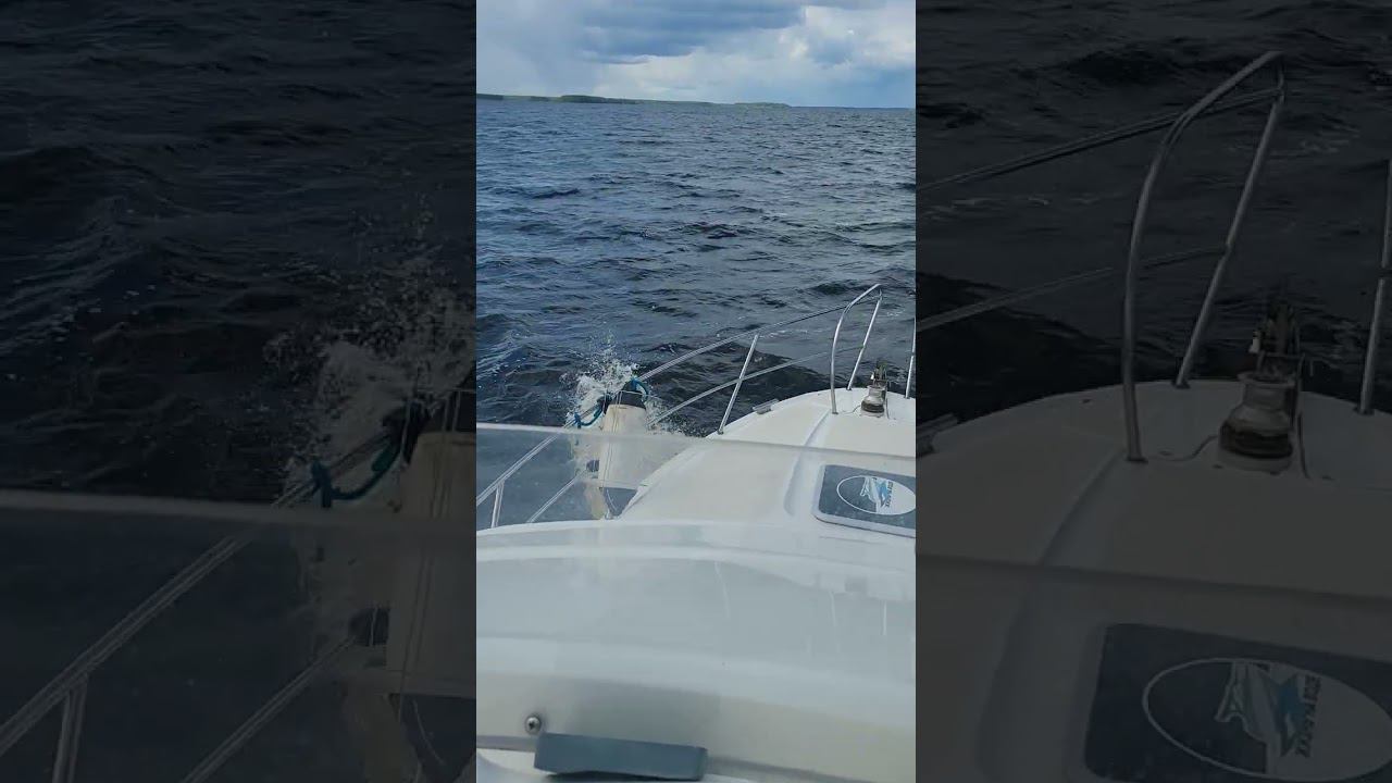 вот так открыли сезон смотреть онлайн