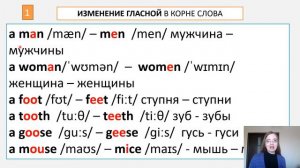 Множественное число существительных в английском языке. Правило и исключения