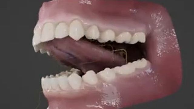 Realistic Human Mouth and gum | blender #blender #b3d | Twitter Animations смотреть онлайн