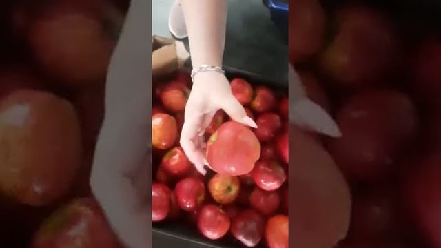 яблоки Ред Чиф оптом смотреть онлайн