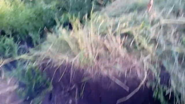 ВОТ ЭТО!!!! ПРУД СВОИМИ РУКАМИ!!!! 5 часть