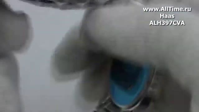 Мужские наручные швейцарские часы Haas ALH397CVA смотреть онлайн