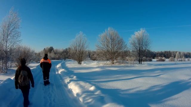 Плетём самую простую корзину.Ч.1.Прогулка за прутом. смотреть онлайн