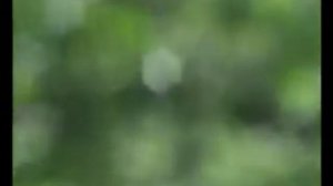 Secret Garden -  Passacaglia