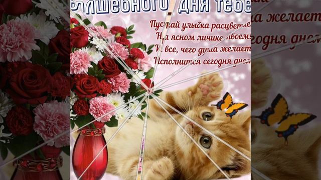 Солнечного настроения!🥰🥰🥰🥰