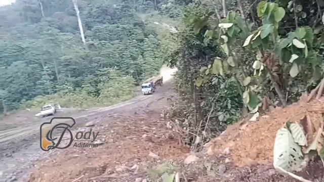 Logging truck kalimantan? Ga bisa ngebut lagi kalo ketemu jalan begini смотреть онлайн