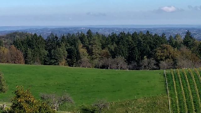 На Словенскую ферму