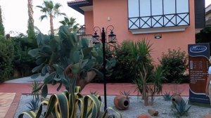 ТУРЦИЯ 2022 Club Dizalya Hotel (Часть: 1)