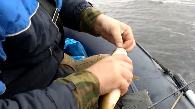 Рыбалка в Марий Эл. ВОЛГА. Жареный. Крупный окунь на отводной поводок и блесна смотреть онлайн