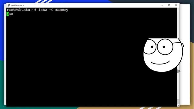 Como Identificar o Hardware do Computador com Linux - Parte 01 смотреть онлайн