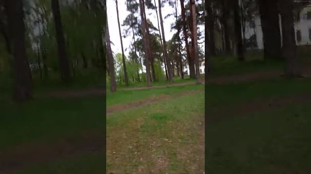 Природа Приозерска.Отдых.Ленинградская область. смотреть онлайн