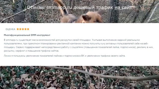 Отзывы smmapp.ru дешевый трафик на сайт смотреть онлайн