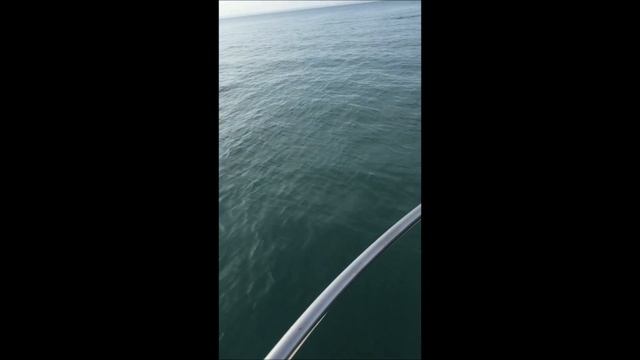 Batumi 2016 смотреть онлайн