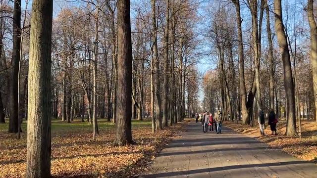 Прогулка по Тимирязевской академии и поселку в Москве смотреть онлайн