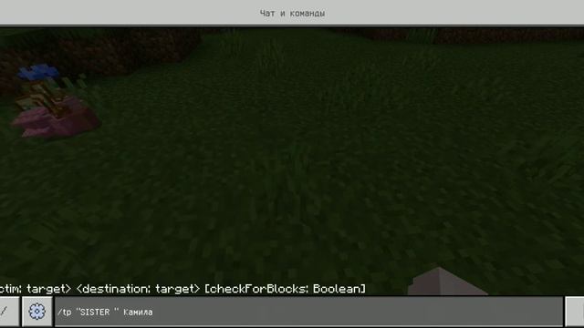 Как ТЕЛЕПОРТНУТСЯ к другу в версии Майнкрафта 1.16.20 смотреть онлайн
