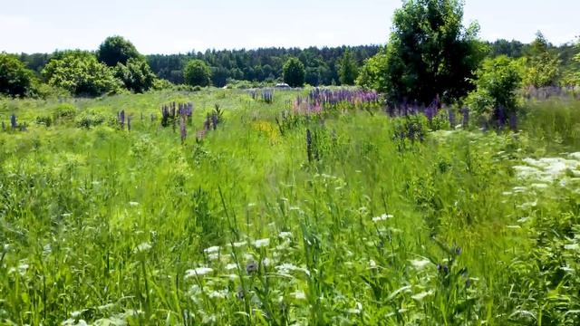 Купить студию | В Солнечном городе | С ремонтом