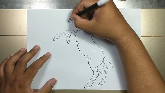 How to draw REARING HORSE in 5 minutes смотреть онлайн