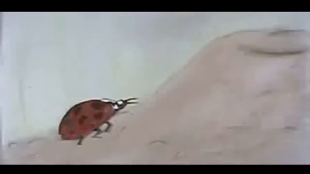 ТОП 5 реальных животных со способностями как у супергероев смотреть онлайн